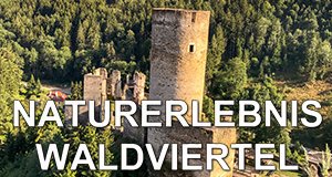 Naturerlebnis Waldviertel – Bild: ZDF/ORF Naturerlebnis Waldviertel – Bild: ZDF/ORF