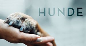 Hunde – Bild: Netflix Hunde – Bild: Netflix