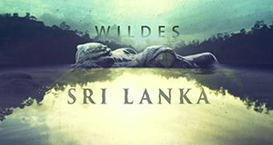 Wildes Sri Lanka – Bild: Nat Geo Wild/Screenshot Wildes Sri Lanka – Bild: Nat Geo Wild/Screenshot