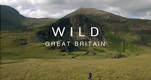 Wildes Großbritannien – Bild: Magnify Media/Screenshot