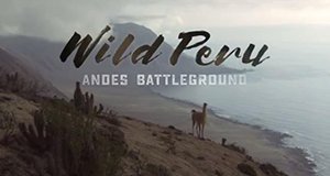 Wildes Peru – Bild: Animal Planet Wildes Peru – Bild: Animal Planet