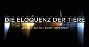 Die Eloquenz der Tiere – Bild: arte/Via Découvertes Films