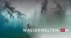 Wasserwelten – Bild: SRF Wasserwelten – Bild: SRF