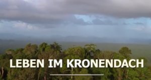 Leben im Kronendach – Bild: arte/BR Fernsehen Leben im Kronendach – Bild: arte/BR Fernsehen