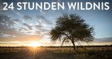24 Stunden Wildnis – Bild: MG RTL D/Offspring Films 24 Stunden Wildnis – Bild: MG RTL D/Offspring Films
