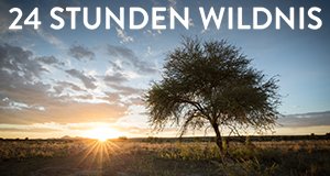 24 Stunden Wildnis – Bild: MG RTL D/Offspring Films 24 Stunden Wildnis – Bild: MG RTL D/Offspring Films