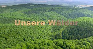 Unsere Wälder – Bild: mdr Unsere Wälder – Bild: mdr