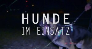 Hunde im Einsatz – Bild: Greenstone TV/sixx Hunde im Einsatz – Bild: Greenstone TV/sixx