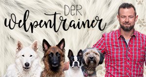 Der Welpentrainer – Auf die Pfoten, fertig, los! – Bild: sixx Der Welpentrainer – Auf die Pfoten, fertig, los! – Bild: sixx