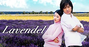 Lavendel Lavendel