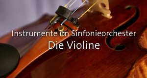 Instrumente im Sinfonieorchester – Bild: SWR Instrumente im Sinfonieorchester – Bild: SWR