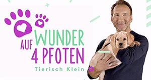 Wunder auf 4 Pfoten – Bild: SAT.1 GOLD