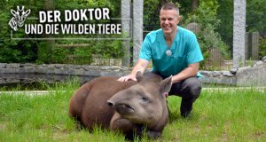 Der Doktor und die wilden Tiere – Bild: HR