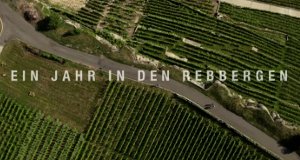 Ein Jahr in den Rebbergen – Bild: SRF Ein Jahr in den Rebbergen – Bild: SRF