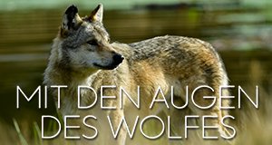 Mit den Augen des Wolfes – Bild: ServusTV/Ludovic Sigaud Mit den Augen des Wolfes – Bild: ServusTV/Ludovic Sigaud