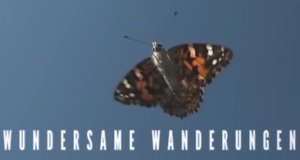 Wundersame Wanderungen – Bild: arte Wundersame Wanderungen – Bild: arte