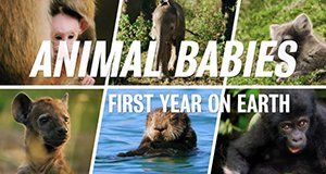 Fabelhafte Tierbabys – Bild: BBC/Flip Flop Films