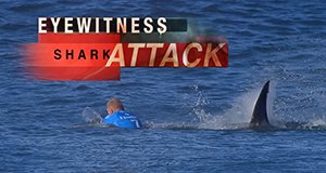 Haiattacken: Augenzeugen berichten – Bild: National Geographic Haiattacken: Augenzeugen berichten – Bild: National Geographic