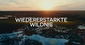 Wiedererstarkte Wildnis – Bild: arte/One Planet