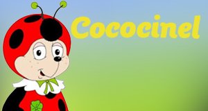 Cococinel – Mein kleiner Glückskäfer