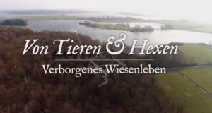 Von Tieren und Hexen – Bild: arte/Nomades TV/Mélusine Productions Von Tieren und Hexen – Bild: arte/Nomades TV/Mélusine Productions