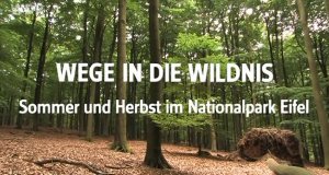 Die Eifel – Wege in die Wildnis – Bild: SWR Die Eifel – Wege in die Wildnis – Bild: SWR