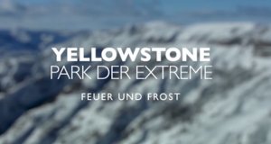 Yellowstone – Park der Extreme