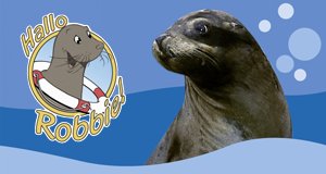 Hallo Robbie! – Bild: ZDF