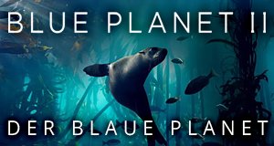 Der Blaue Planet – Bild: Polyband/WVG Der Blaue Planet – Bild: Polyband/WVG