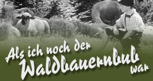 Als ich noch der Waldbauernbub war – Bild: STUDIOCANAL