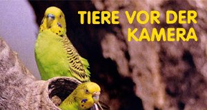 Tiere vor der Kamera – Bild: ARD/Ernst Arendt/Hans Schwaiger