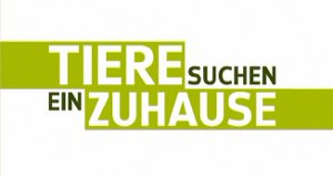 Tiere Suchen Ein Zuhause Fernsehserien De
