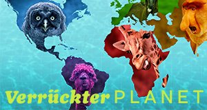 Verrückter Planet – Bild: Netflix