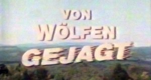 Von Wölfen gejagt – Bild: ZDF