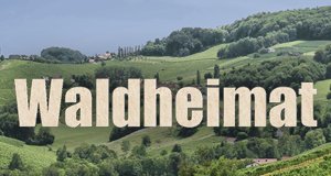 Waldheimat – Bild: S.A.D. Home Entertainment GmbH & Pixabay CC Waldheimat – Bild: S.A.D. Home Entertainment GmbH & Pixabay CC
