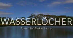 Wasserlöcher – Oasen für Afrikas Fauna – Bild: BBC/PBS