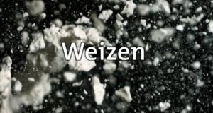 Weizen – Bild: SWR Weizen – Bild: SWR