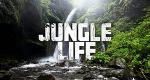 Welcome to the Jungle – Bild: HGTV Welcome to the Jungle – Bild: HGTV