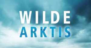 Wilde Arktis – Bild: Lighthouse Home Entertainment/Off the Fence Wilde Arktis – Bild: Lighthouse Home Entertainment/Off the Fence