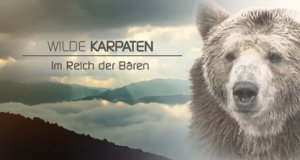 Wilde Karpaten – Bild: arte/Blink Films Wilde Karpaten – Bild: arte/Blink Films