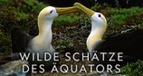 Wilde Schätze des Äquators – Bild: NHNZ Wilde Schätze des Äquators – Bild: NHNZ