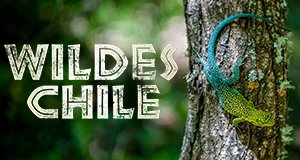 Wildes Chile – Bild: National Geographic