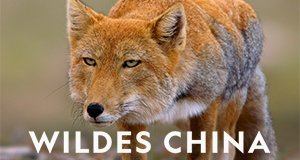 Wildes China – Bild: National Geographic