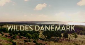 Wildes Dänemark – Bild: Mastiff AS/DR