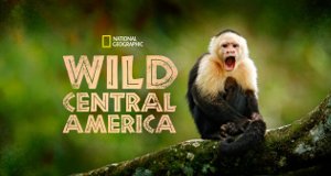 Wildes Mittelamerika – Bild: National Geographic Wildes Mittelamerika – Bild: National Geographic