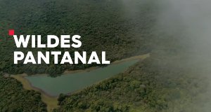 Wildes Pantanal – Bild: 3sat/ZDF Wildes Pantanal – Bild: 3sat/ZDF