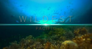 Wildest Places – Bild: BBC Wildest Places – Bild: BBC