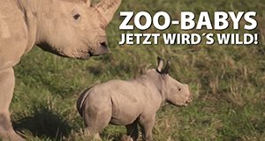 Zoo-Babys: Jetzt wird’s wild!