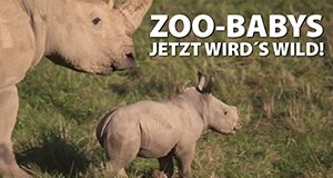 Zoo-Babys: Jetzt wird’s wild! – Bild: National Geographic Channel Zoo-Babys: Jetzt wird’s wild! – Bild: National Geographic Channel