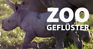 Zoogeflüster – Bild: NGC Europe Limited